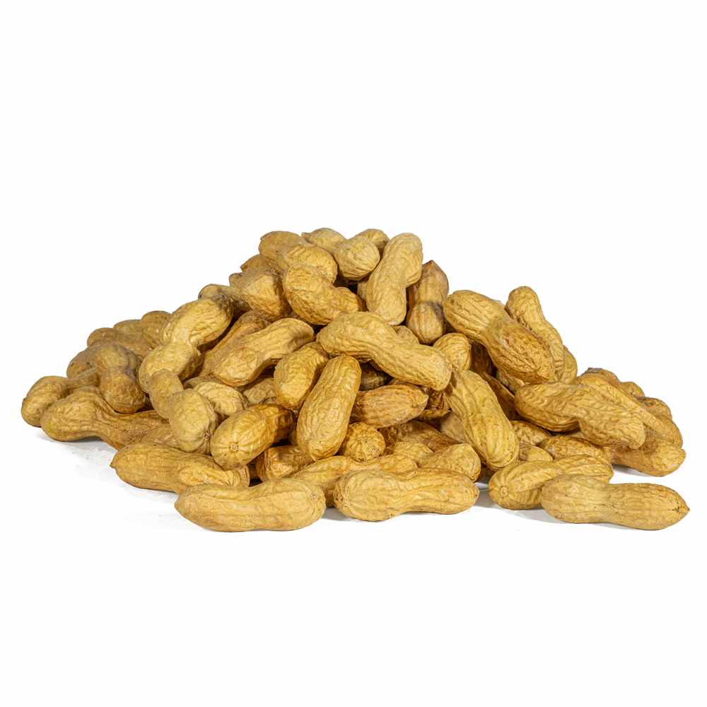 سوداني بقشره جامبو